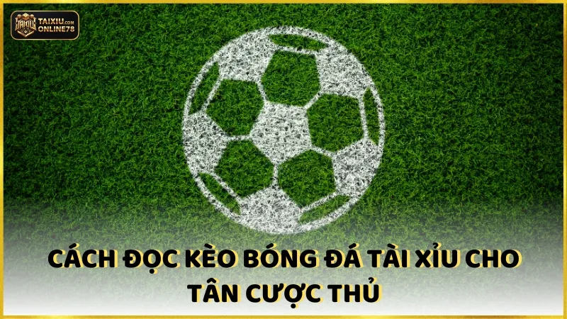 Bật mí cách cược kèo bất bại từ chuyên gia